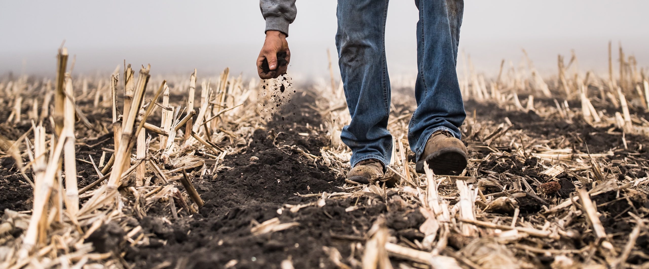 soil in field