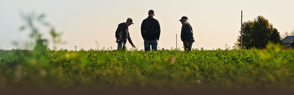 Farmer discussion